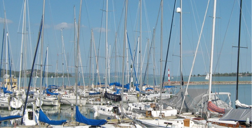 bfoldvarkikoto