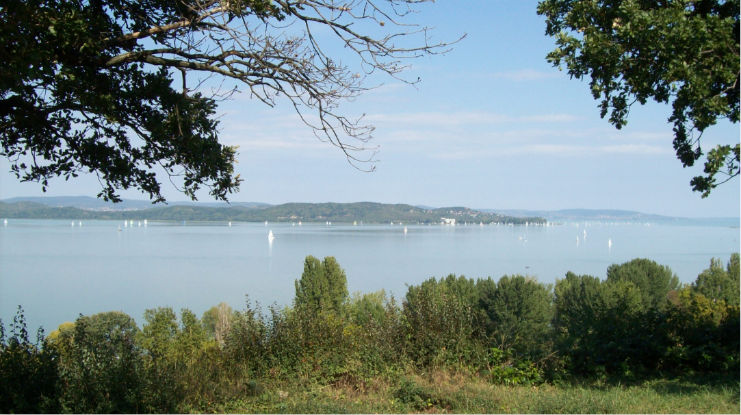 bfoldvartajkep